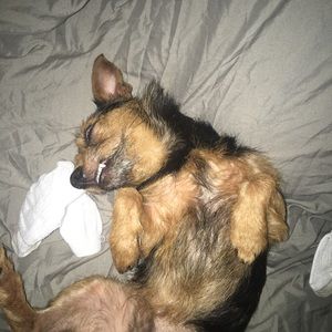 Meet your Posher, Christopher